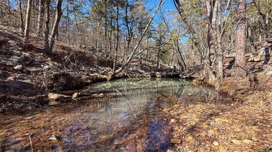 Frog Eagle Ranch consists of 771+/- acres located in Daisy - photo 47