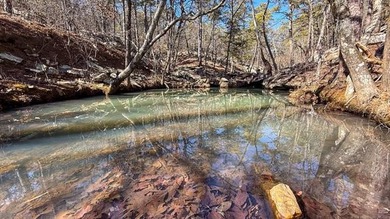 Frog Eagle Ranch consists of 771+/- acres located in Daisy - photo 48