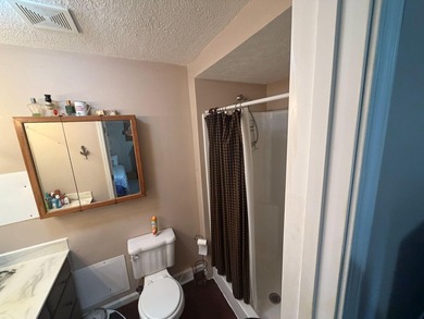 Welcome to this well-maintained 4-bedroom, 2-bathroom - photo 57