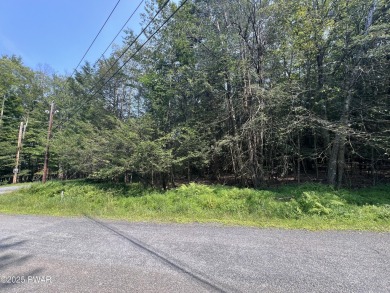 Lake Lot For Sale in Lake Ariel, Pennsylvania