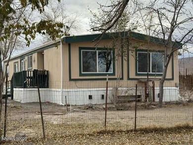 Lake Lahontan Home For Sale in Silver Springs Nevada