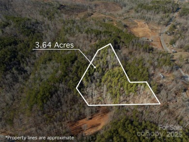 Lake Acreage For Sale in Mill Spring, North Carolina