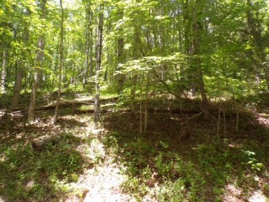 Lake Lot For Sale in Butler, Tennessee
