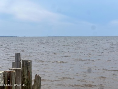 Rare opportunity to own two lots on scenic Belle Fontaine Drive - photo 12