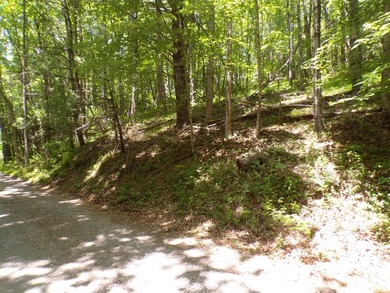 Stay VACATIONED in the beautiful mountains of Northeast - photo 4