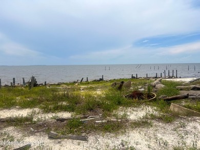 Rare opportunity to own two lots on scenic Belle Fontaine Drive - photo 15