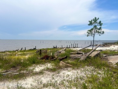 Rare opportunity to own two lots on scenic Belle Fontaine Drive - photo 17