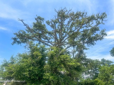 Rare opportunity to own two lots on scenic Belle Fontaine Drive - photo 18