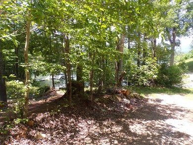 Stay VACATIONED in the beautiful mountains of Northeast - photo 8