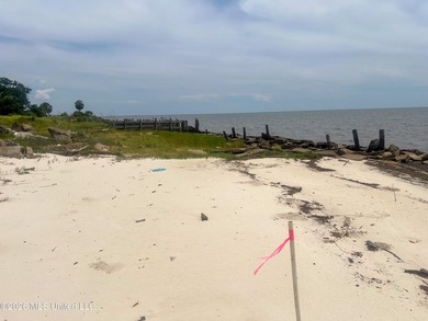 Rare opportunity to own two lots on scenic Belle Fontaine Drive - photo 19