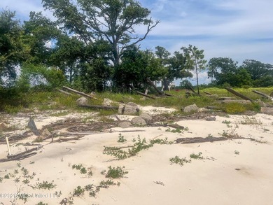 Rare opportunity to own two lots on scenic Belle Fontaine Drive - photo 20