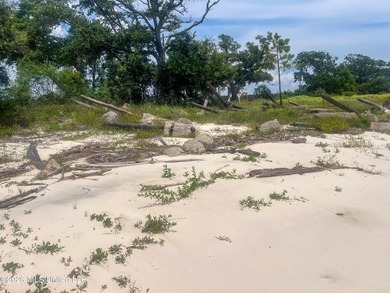 Rare opportunity to own two lots on scenic Belle Fontaine Drive - photo 21