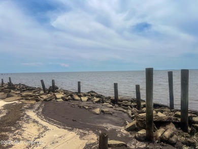 Rare opportunity to own two lots on scenic Belle Fontaine Drive - photo 24