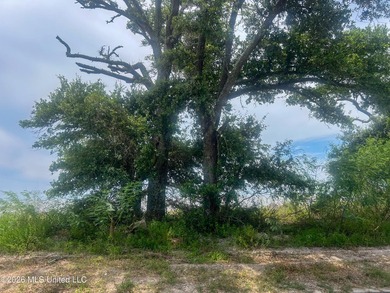 Rare opportunity to own two lots on scenic Belle Fontaine Drive - photo 27