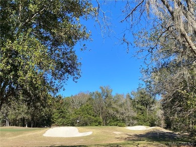 RARE OPPORTUNITY to own a premier estate homesite in the - photo 3