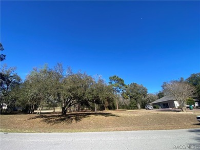 RARE OPPORTUNITY to own a premier estate homesite in the - photo 4