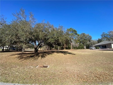 RARE OPPORTUNITY to own a premier estate homesite in the - photo 6