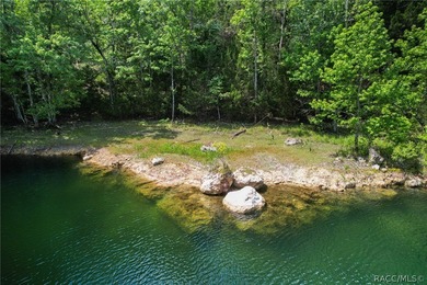 Withlacoochee River Home For Sale in Floral City Florida