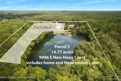 The ABSOLUTE MOST UNIQUE AND INCREDIBLE property on the north - photo 6