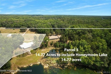 The ABSOLUTE MOST UNIQUE AND INCREDIBLE property on the north - photo 7