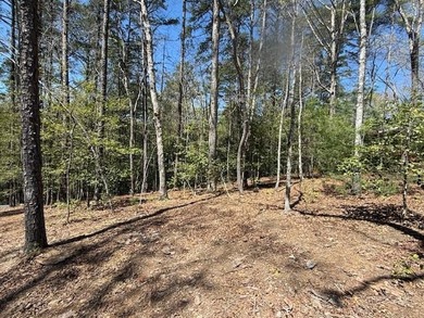 Lake Hiwassee Lot For Sale in Murphy North Carolina