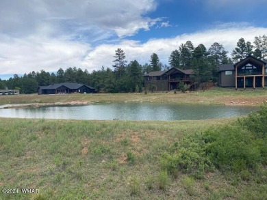 (private lake, pond, creek) Lot For Sale in Show Low Arizona