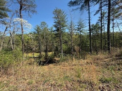 (private lake, pond, coastal) Lot For Sale in Murphy North Carolina