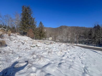 Lake Acreage For Sale in Rock Cave, West Virginia