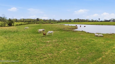 This exceptional 131+/-acre farm in Marshall County offers a - photo 17