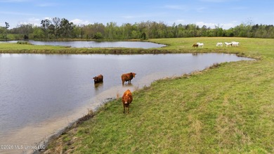 This exceptional 131+/-acre farm in Marshall County offers a - photo 18