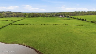 This exceptional 131+/-acre farm in Marshall County offers a - photo 20