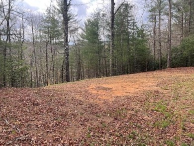 Lake Lot For Sale in Robbinsville, North Carolina