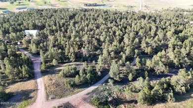 Keyhole Reservoir Lot For Sale in Pine Haven Wyoming