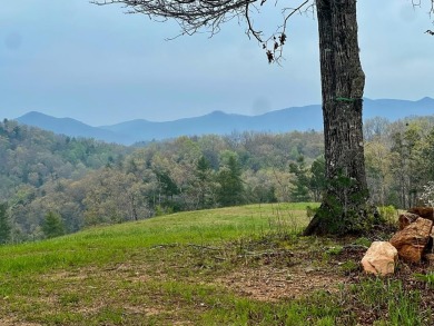Lake Lot For Sale in Murphy, North Carolina
