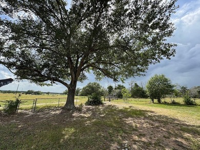 Lake Fayette Home For Sale in Fayetteville Texas