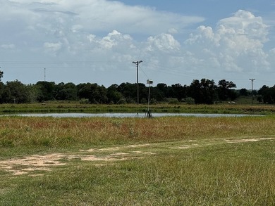 Looking for that quaint country property near Fayetteville? This - photo 8