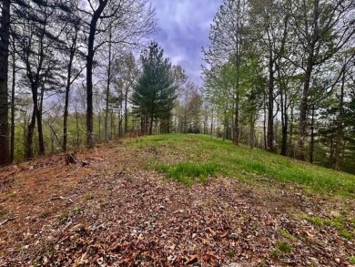 Lake Acreage For Sale in Murphy, North Carolina