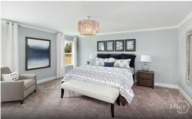 Discover the Mitchell floorplan in the sought-after Waterways - photo 8
