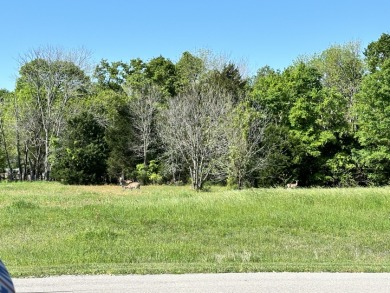 1 Acre Off Water Shaded Lot on Richland Chambers Lake! SOLD - Lake Lot SOLD! in Corsicana, Texas