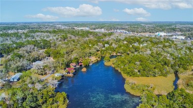 CUSTOM WATERFRONT HOME AND NEVER FLOODED! Built in 2006, this - photo 5