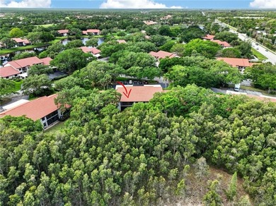 Move right in and start living the Florida dream! This - photo 48