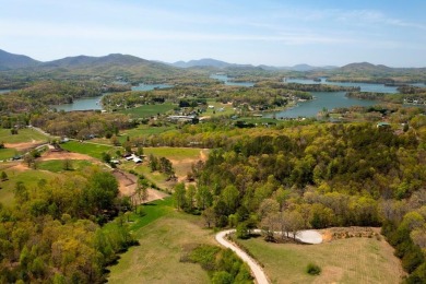 Lake Lot For Sale in Hiawassee, Georgia