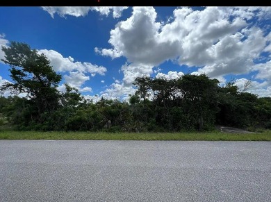 Lake Istokpoga Lot For Sale in Lake Placid Florida