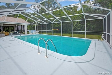 Exceptional character in Sugarmill Woods - Cypress Village - photo 43