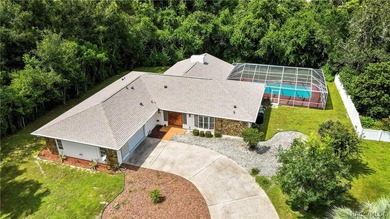 Exceptional character in Sugarmill Woods - Cypress Village - photo 45