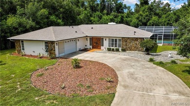 Exceptional character in Sugarmill Woods - Cypress Village - photo 46