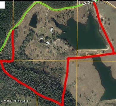 Beautiful 58.16-acre property offering endless possibilities for - photo 3