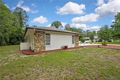 Exceptional character in Sugarmill Woods - Cypress Village - photo 54