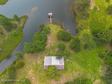 Beautiful 58.16-acre property offering endless possibilities for - photo 6