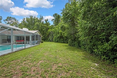 Exceptional character in Sugarmill Woods - Cypress Village - photo 57
